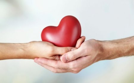 Organ Nakli Haftası