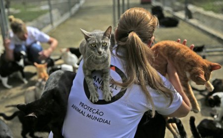 Hayvanları Koruma Günü