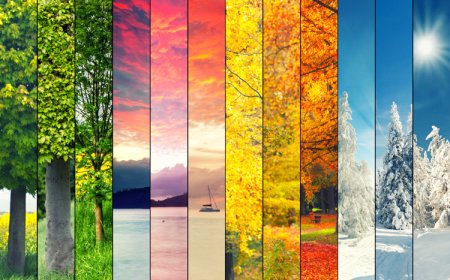 Dünya Meteoroloji Günü