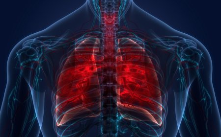 Dünya Tüberküloz Günü