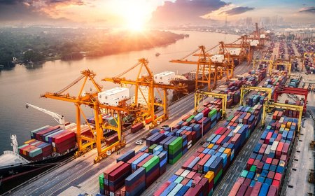 Dünya Gümrük Günü