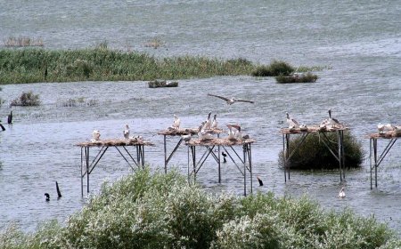 KUŞCENNETİ MİLLİ PARKI