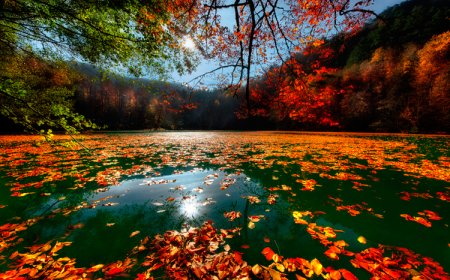 YEDİGÖLLER MİLLİ PARKI