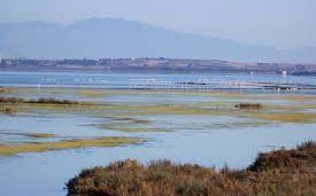 YUMURTALIK LAGÜNÜ MİLLİ PARKI