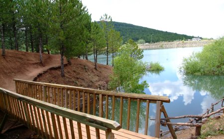 YOZGAT ÇAMLIĞI MİLLİ PARKI