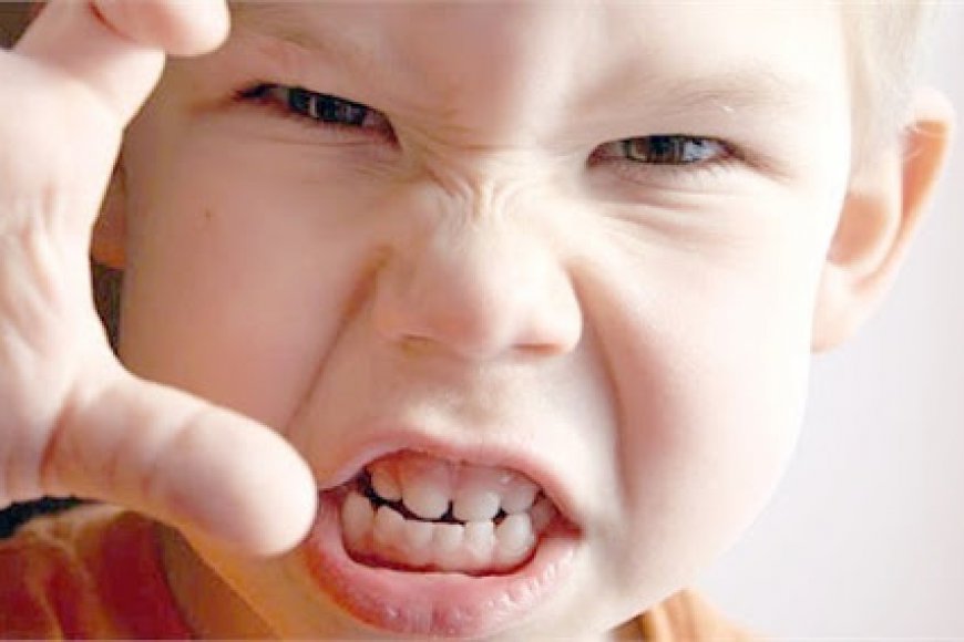 Çocuğunuzun Sinirlenmesinin Sebebleri