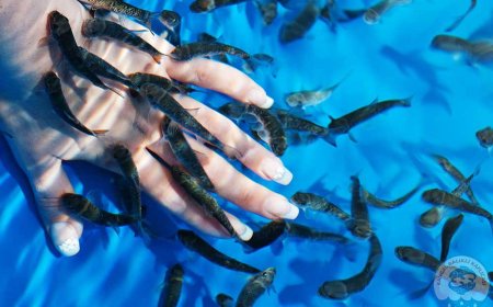 Balıklı Çermik SİVAS