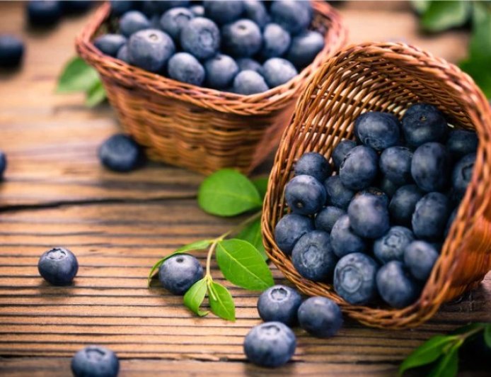 Doğanın Şifa Deposu Meyvesi Yaban Mersini